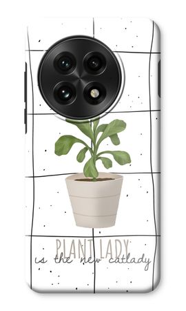 Houseplant on windowpane