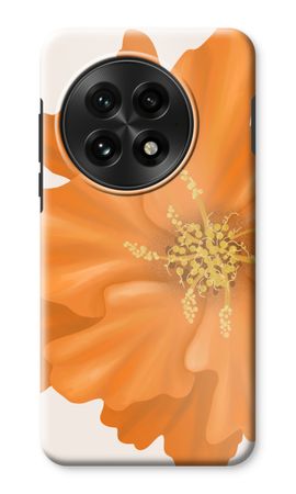 Orange Ellila flower