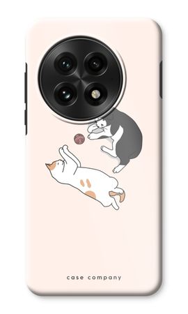 Playing cats