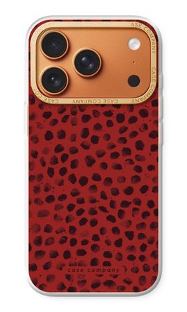 Ladybird Paint