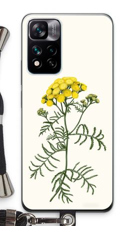 Tansy