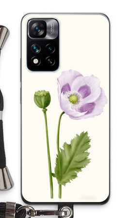 Purple poppy