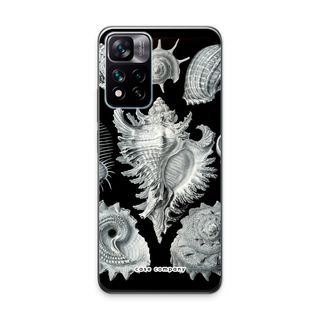 Haeckel Prosobranchia