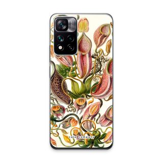 Haeckel Nepenthaceae