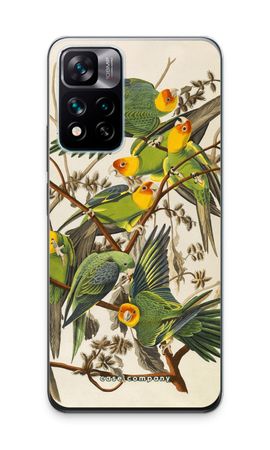 Carolina Parrot