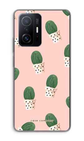 Cactus rosa