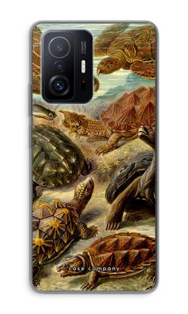 Haeckel Chelonia