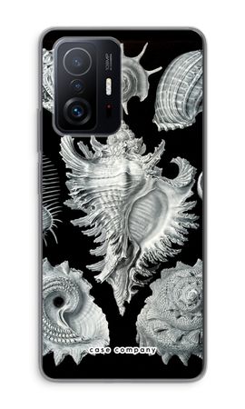 Haeckel Prosobranchia