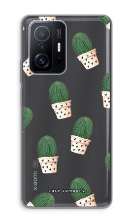 Cactus rosa