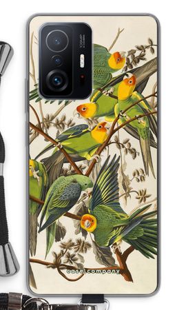 Carolina Parrot