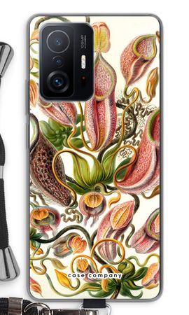 Haeckel Nepenthaceae