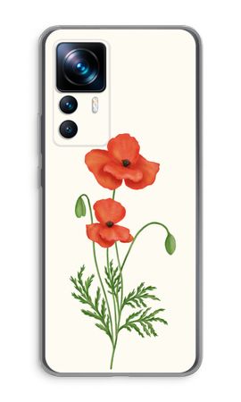 Red poppy