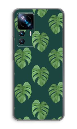 Monstera leaves