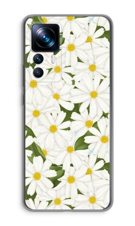 Summer Daisies
