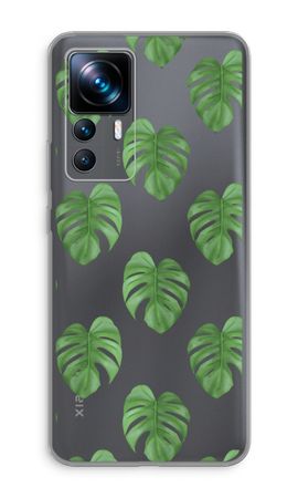 Monstera leaves