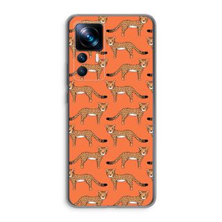 Cheetah