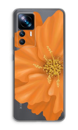 Orange Ellila flower