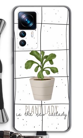 Houseplant on windowpane