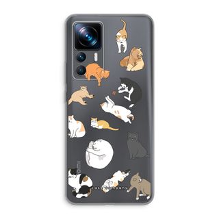 Cats