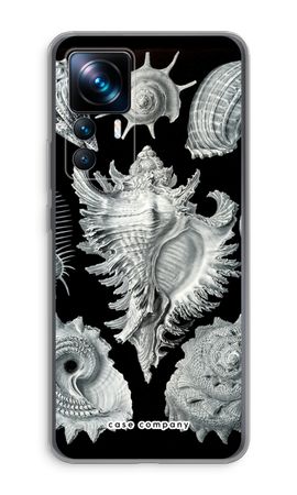 Haeckel Prosobranchia