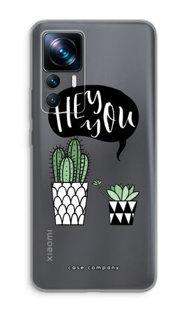 Hey you cactus