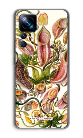 Haeckel Nepenthaceae