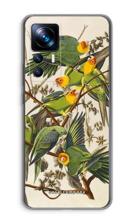 Carolina Parrot