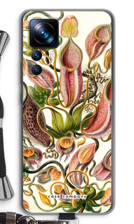 Haeckel Nepenthaceae