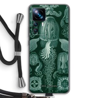 Haeckel Cubomedusae