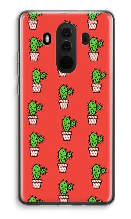 Mini cactus