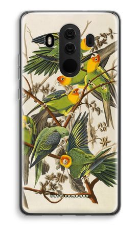 Carolina Parrot