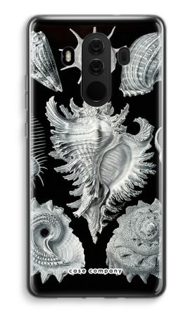 Haeckel Prosobranchia