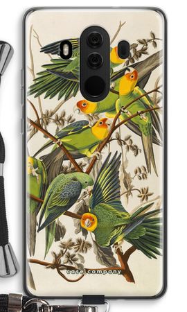 Carolina Parrot
