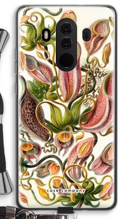 Haeckel Nepenthaceae