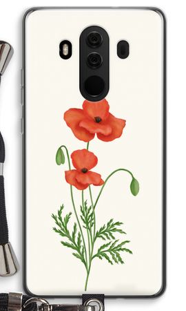 Red poppy