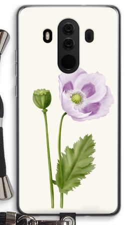 Purple poppy