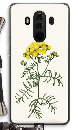 Tansy