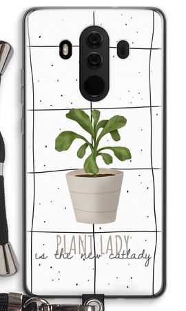 Houseplant on windowpane