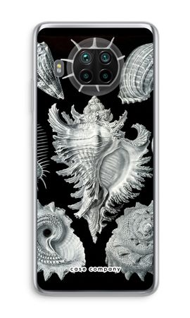 Haeckel Prosobranchia