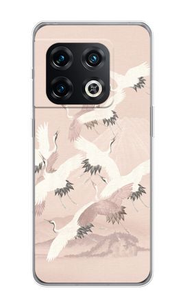 Japanese Crane Birds