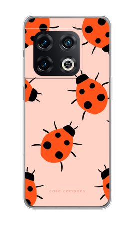 Ladybugs