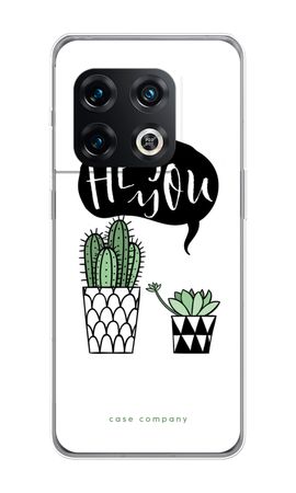 Hey you cactus