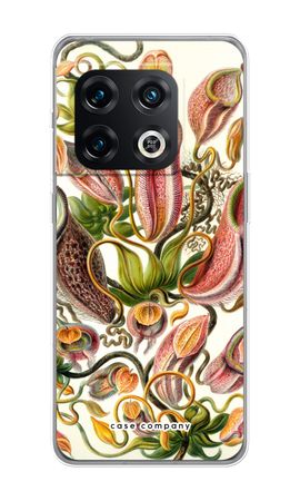 Haeckel Nepenthaceae