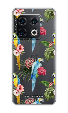 Farbenfrohe Papageien