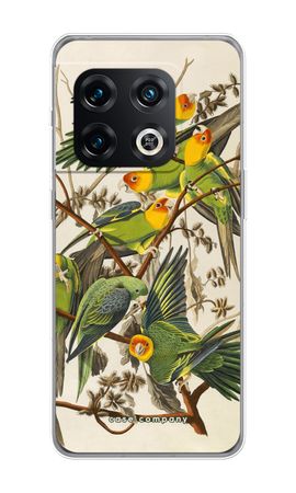 Carolina Parrot