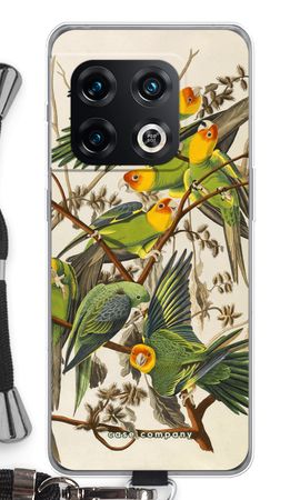 Carolina Parrot