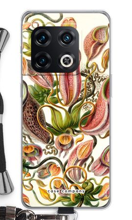 Haeckel Nepenthaceae