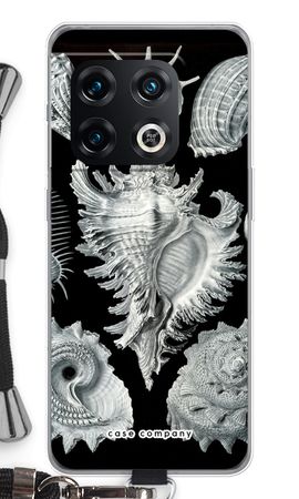 Haeckel Prosobranchia