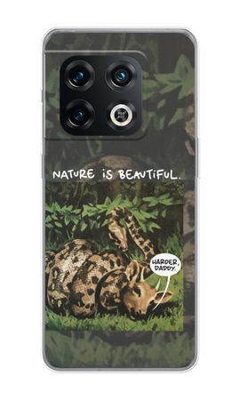 Nature is beautiful