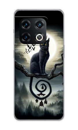 Moonlight Companions